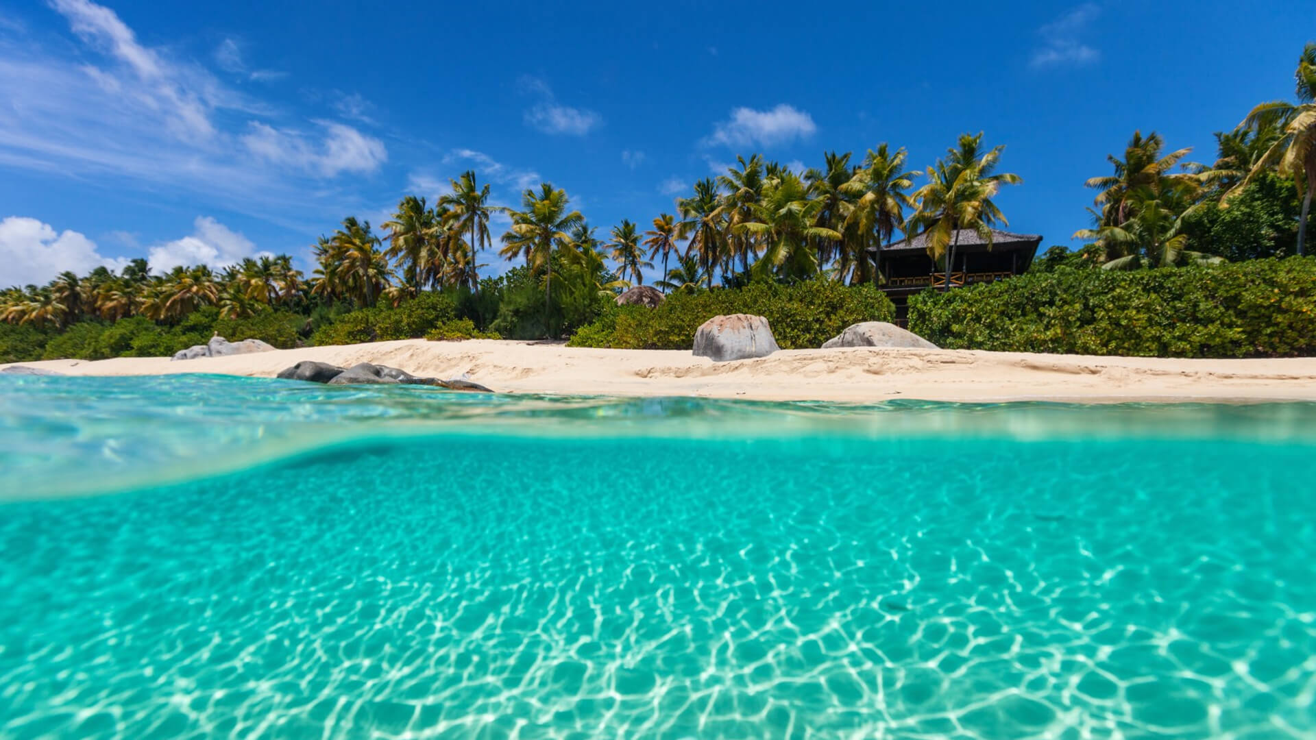 一些田园诗般的目的地的选择，你可以用Tropicalboat探索，如上图中巴哈马清澈的海水