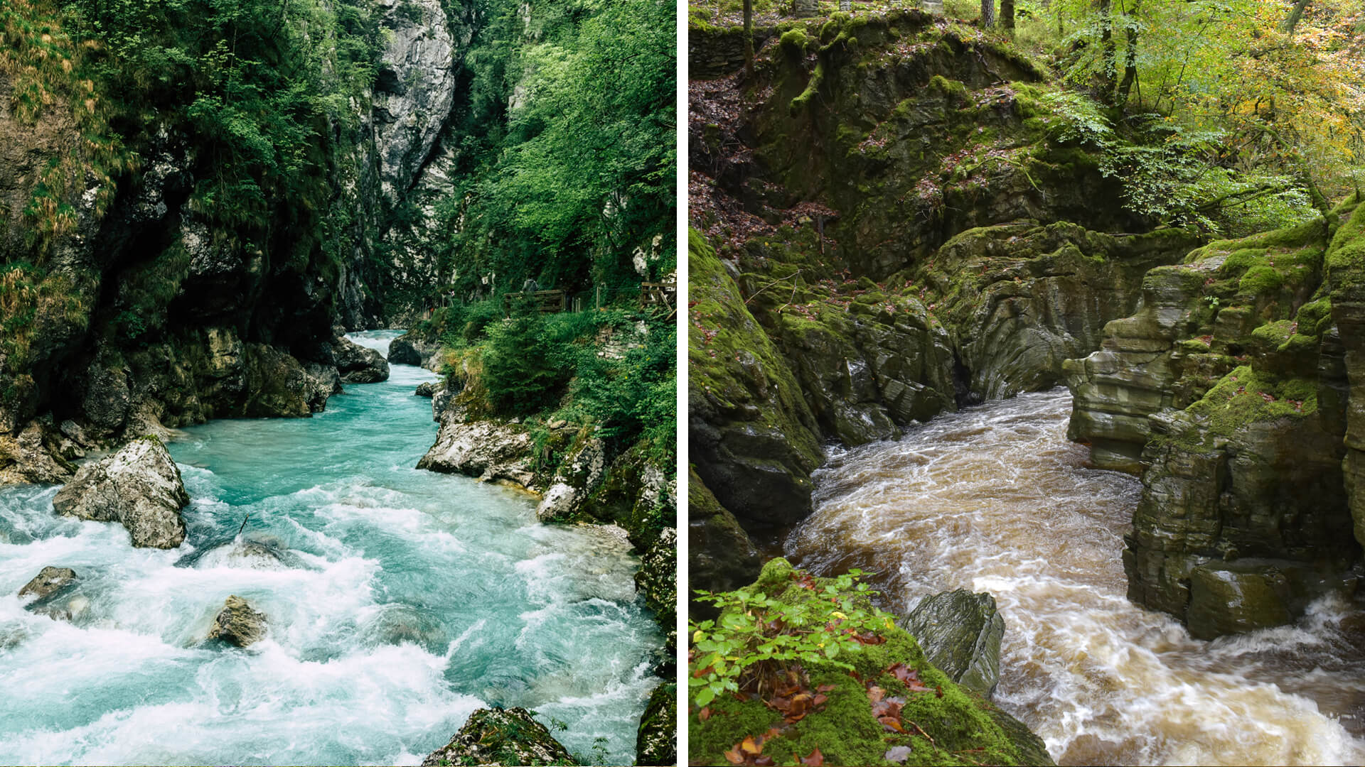 斯洛文尼亚森林和湖泊公路之旅vs.威尔士森林和湖泊公路之旅